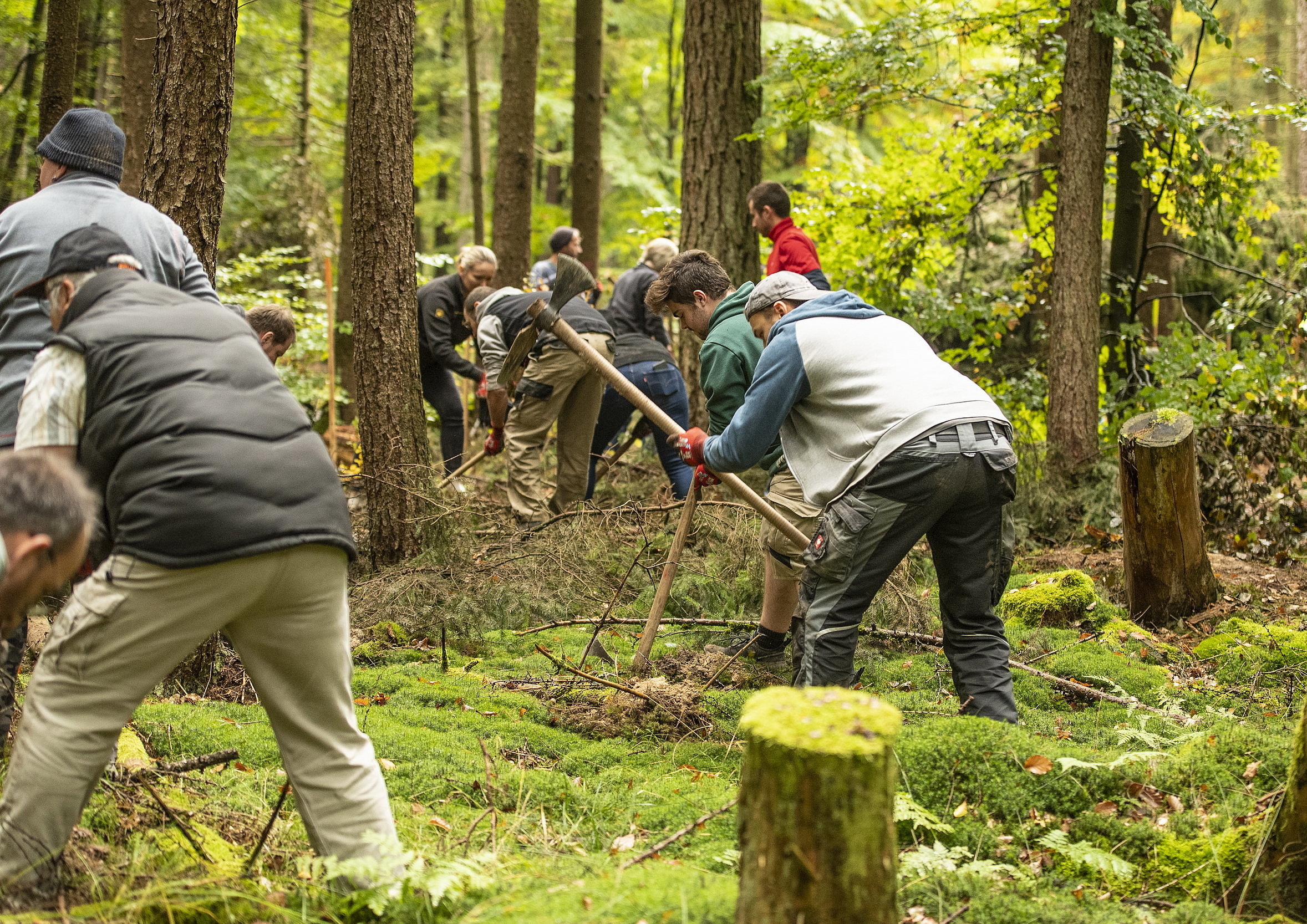 rauch-Mitarbeiter lockern den Waldboden mit Spaten und Hacken auf.